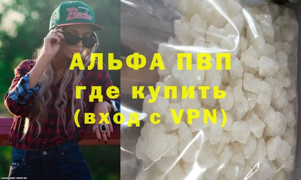 apvp Гусев