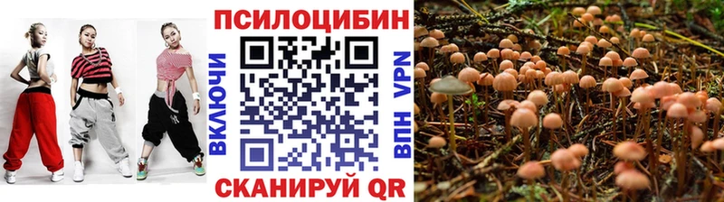 как найти наркотики даркнет какой сайт Галлюциногенные грибы MAGIC MUSHROOMS Олёкминск